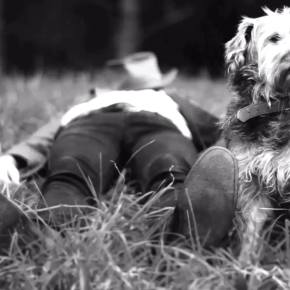 TOUR NEWS: Mark Moldre announces The Bone Orchard&nbsp;Tour