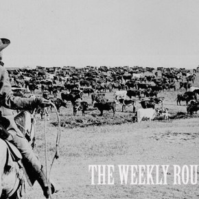 THE WEEKLY ROUND-UP: May 1st,&nbsp;2015