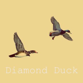 PTW PREMIERE: Diamond Duck&nbsp;EP