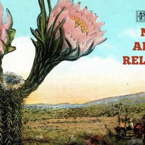 NEW ALBUM RELEASES THIS&nbsp;WEEK