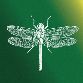 NEW MUSIC: Paper Jane – Tail&nbsp;Lights