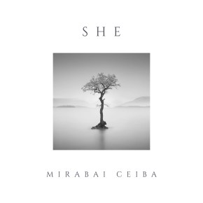 NEW MUSIC: Mirabai Ceibi –&nbsp;She