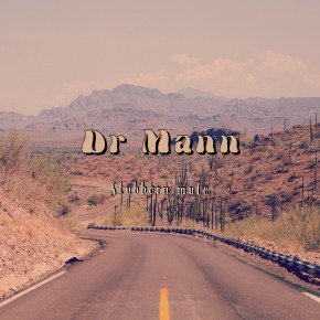 SINGLE PREMIERE: Dr Mann – Stubborn&nbsp;Mule
