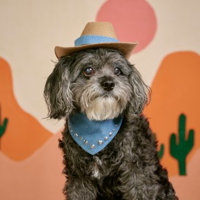 HENRY WAGONS RELEASES NEW SINGLE OF COSMIC COUNTRY&nbsp;BOOGIE